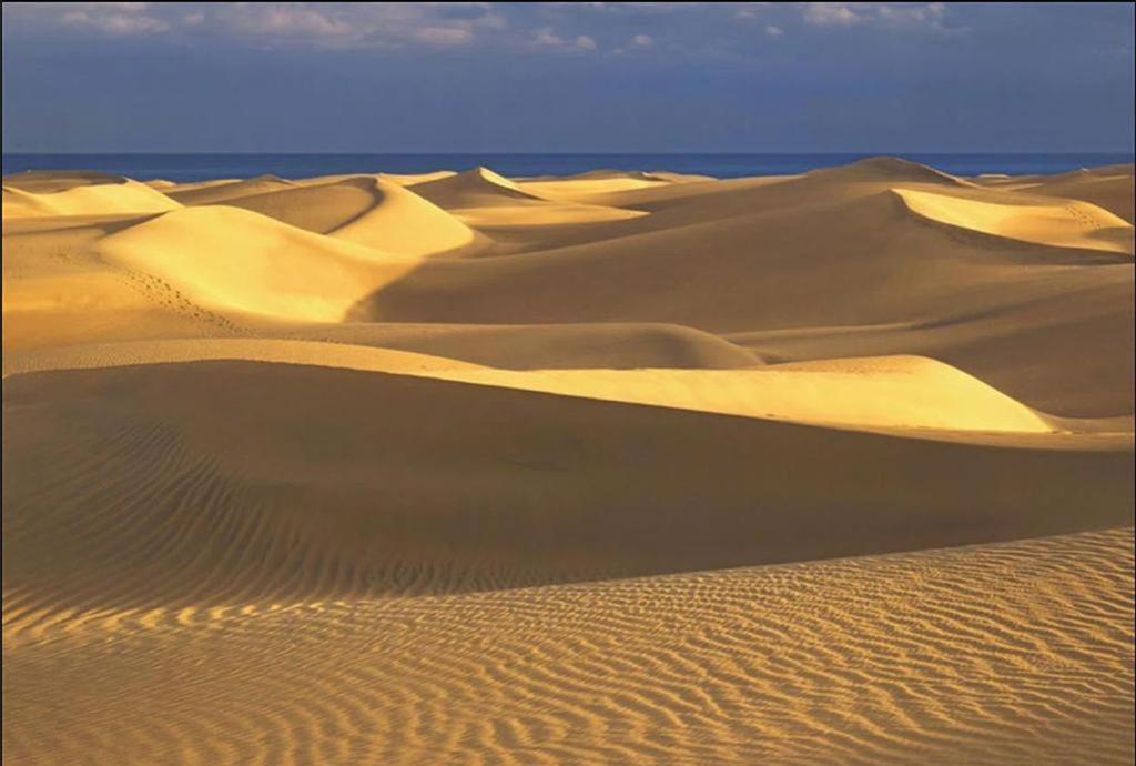 Bungalow Playmar بلايا ديل إنغلز الغرفة الصورة
