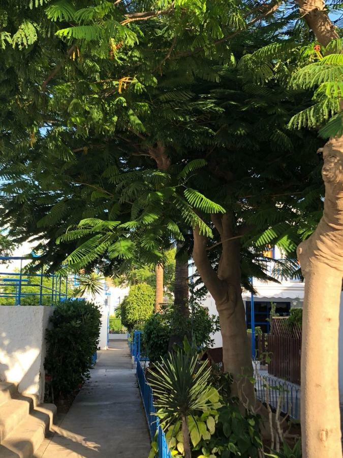 Bungalow Playmar بلايا ديل إنغلز المظهر الخارجي الصورة